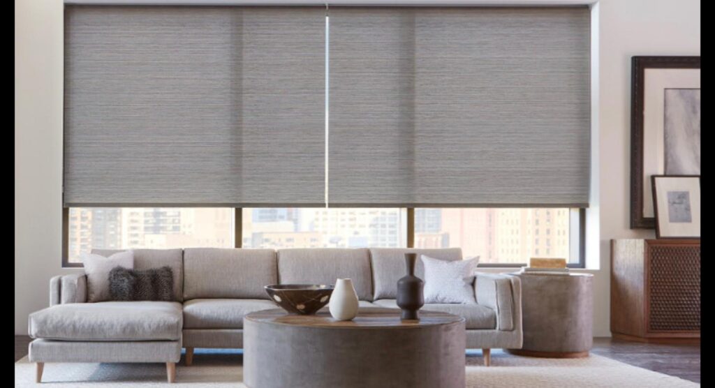 Roller shades Tampa
