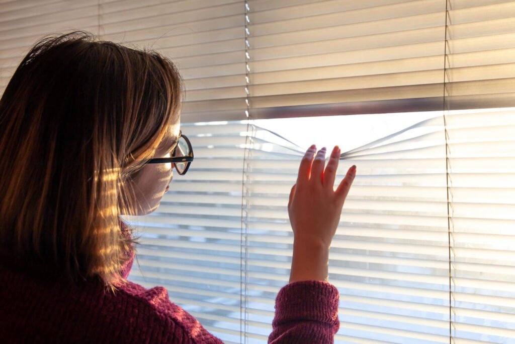window shades in Tampa
